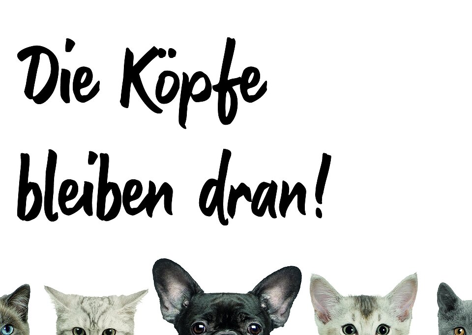 #GleichImNetz Tipps und Tricks rund um Social Media