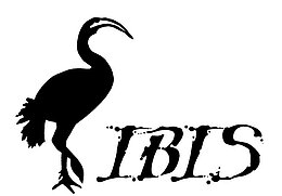 Logo IBIS – Interkulturelle Arbeitsstelle für Forschung, Dokumentation, Bildung und Beratung e.V.