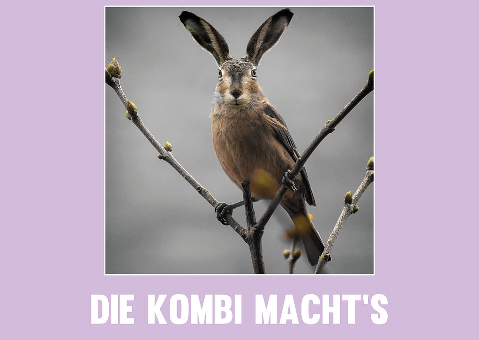 Ein Vogel mit Hasenkopf, darunter Text: Die Kombi macht‘s