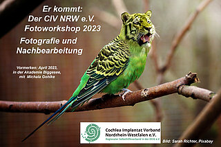 Bildbearbeitung Wellentiger 