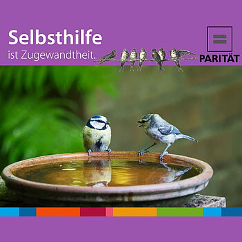 Zwei Meisen an einer Wassertränke, die scheinbar miteinander sprechen, dazu der Spruch: Selbsthilfe ist Zugewandtheit