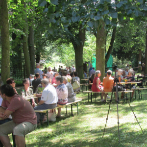 Parkfest