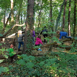 Kindergartengruppe auf Erkundungstour im Wald