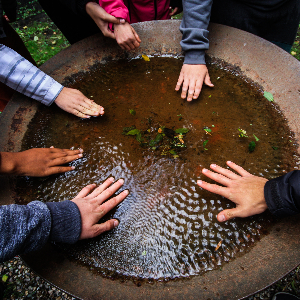 6 Hände berühren eine mit Wasser gefüllte Klangschale. © Frederike Kopper