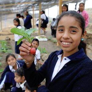 Schulkinder in Mexiko im Gemüsegarten an einer Schule