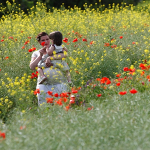 Schwangere Mutter mit Kind auf dem Arm zwischen Mohnblumen