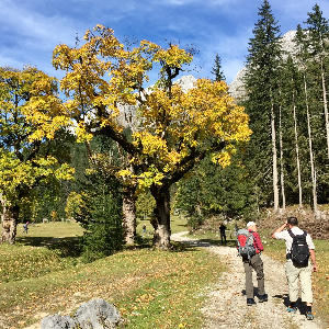 Gemeinsam Wandern als Ausgleich